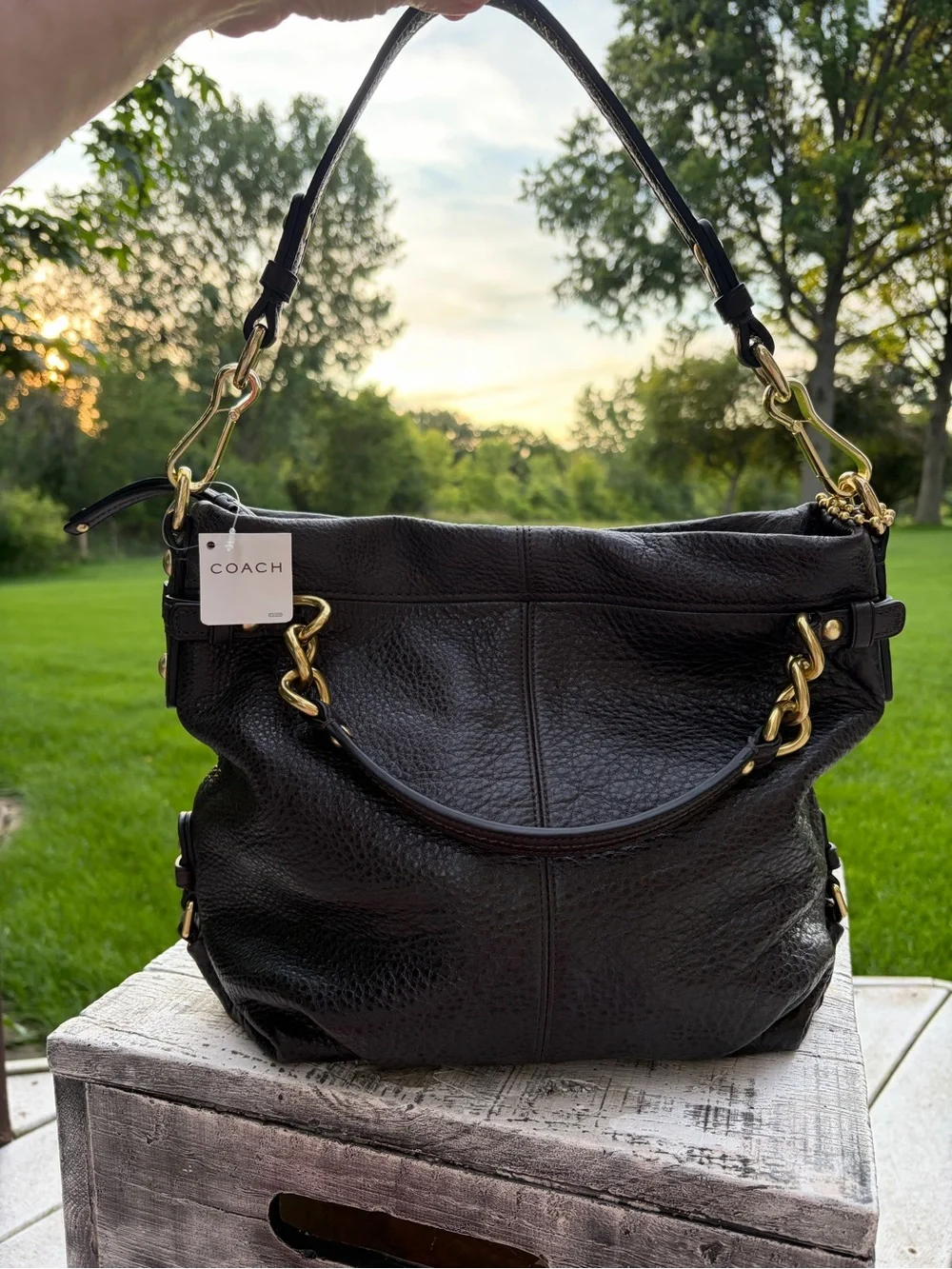 Vintage Coach Mahogany Brooke Leather Hobo Shoulder Bag Brass Hardware NWT